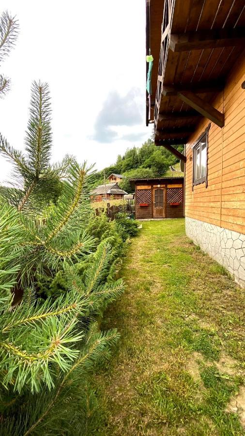 Котедж Віадук Vorohta Exterior foto